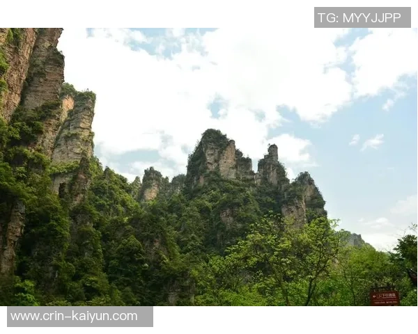 演出“速度同框”！这场双遗马拉松“跑”进峨眉山水画卷